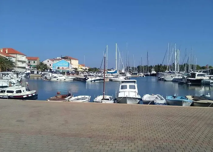 Podvrsina1A Rosa